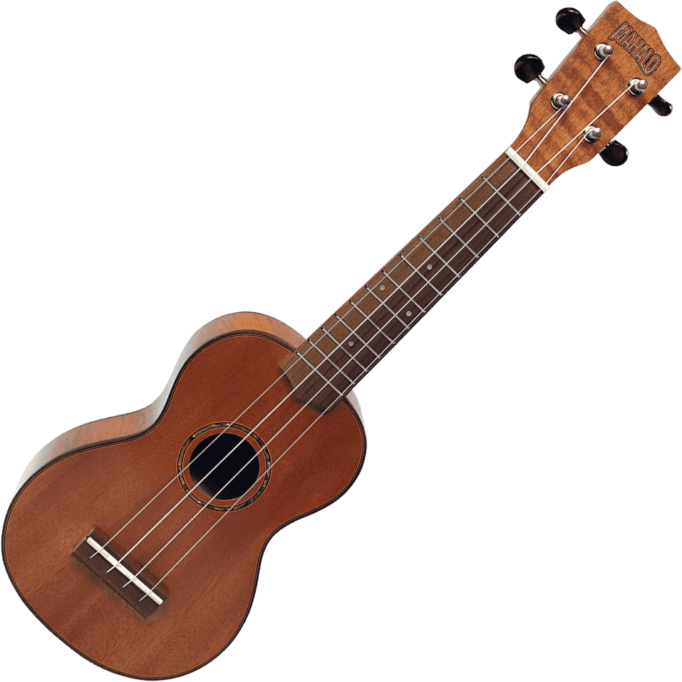 UKULELE SOPRANO CUSTOM + HOUSSE MAHALO U-LTD2-G
