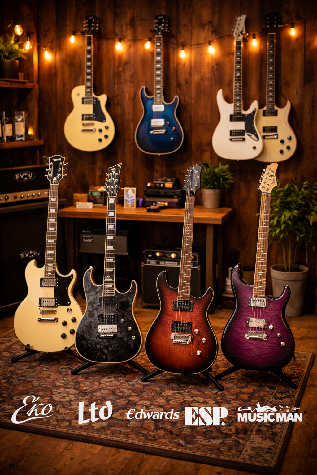 GUITARES ELECTRIQUES