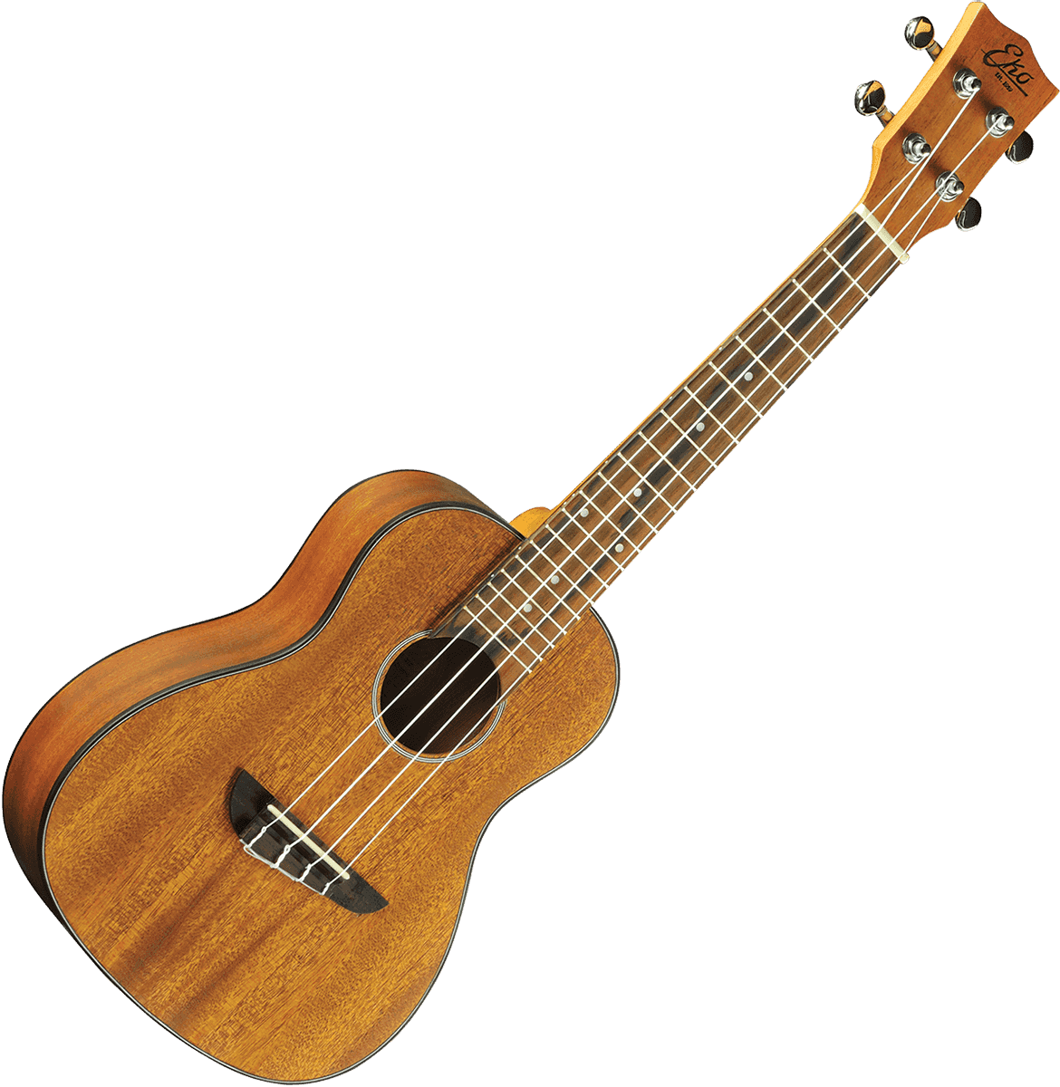 UKULELE CONCERT ACAJOU - pack housse accessoires EKO DUO-CONCERTO
