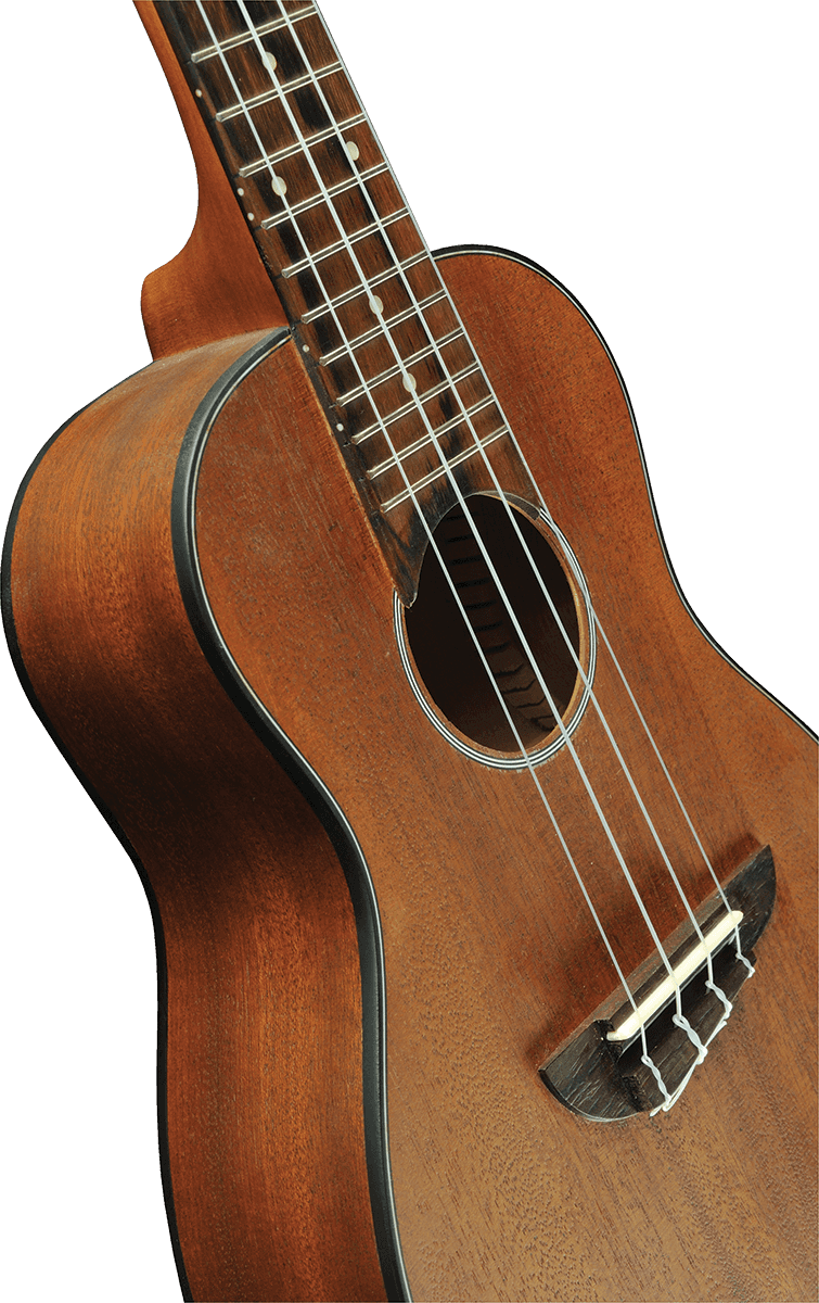 UKULELE CONCERT ACAJOU - pack housse accessoires EKO DUO-CONCERTO
