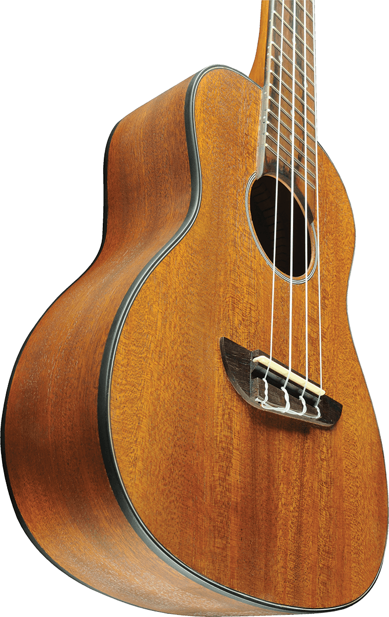 UKULELE CONCERT ACAJOU - pack housse accessoires EKO DUO-CONCERTO