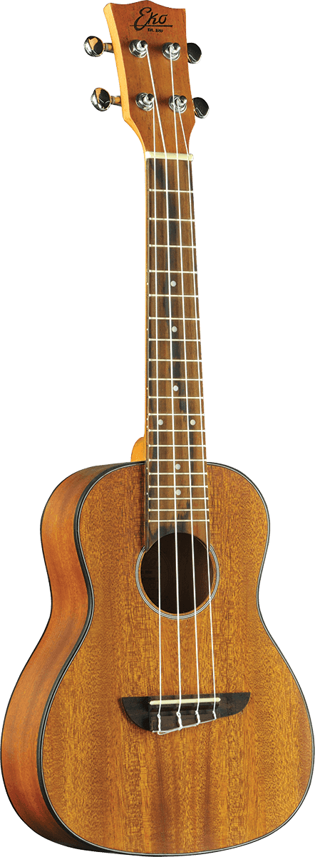 UKULELE CONCERT ACAJOU - pack housse accessoires EKO DUO-CONCERTO