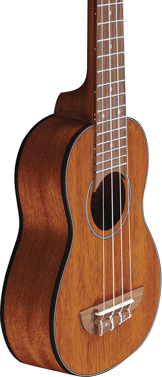 UKULELE SOPRANO EKO ACAJOU - pack housse accessoires