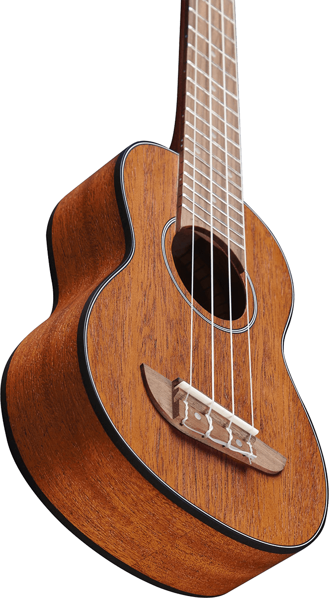 UKULELE SOPRANO EKO ACAJOU - pack housse accessoires