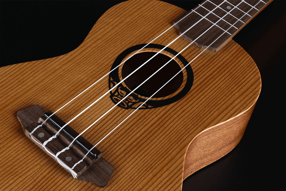 UKULELE CONCERT LAG AVEC HOUSSE TIKI UKU 10