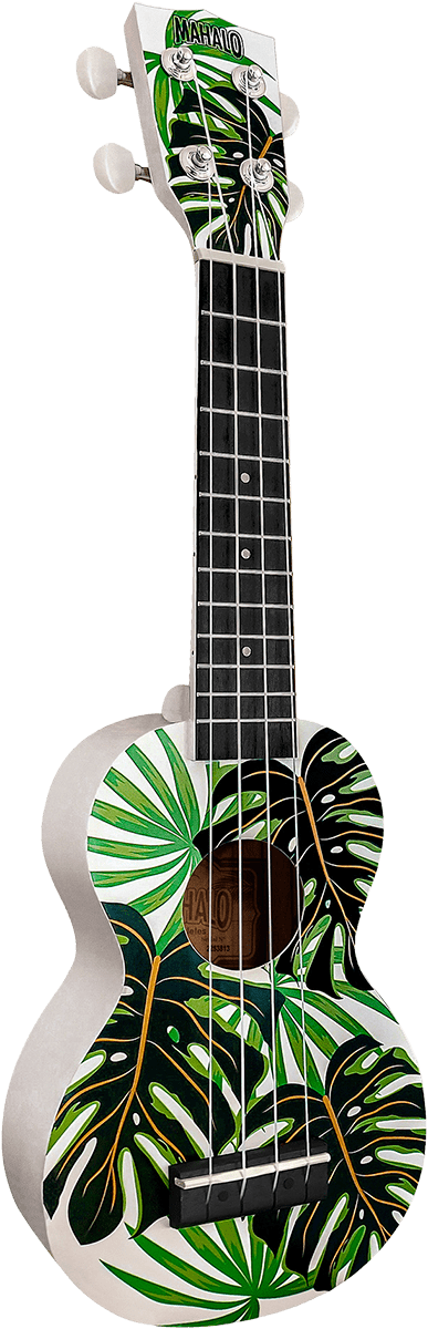 UKULELE SOPRANO MONSTERA + SUPPORT MURAL MAHALO MA1MT