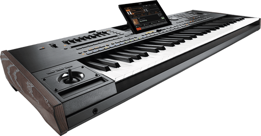 CLAVIER ARRANGEUR 61 notes semi lesté, MP3, harmoniseur KORG PA5X-61
