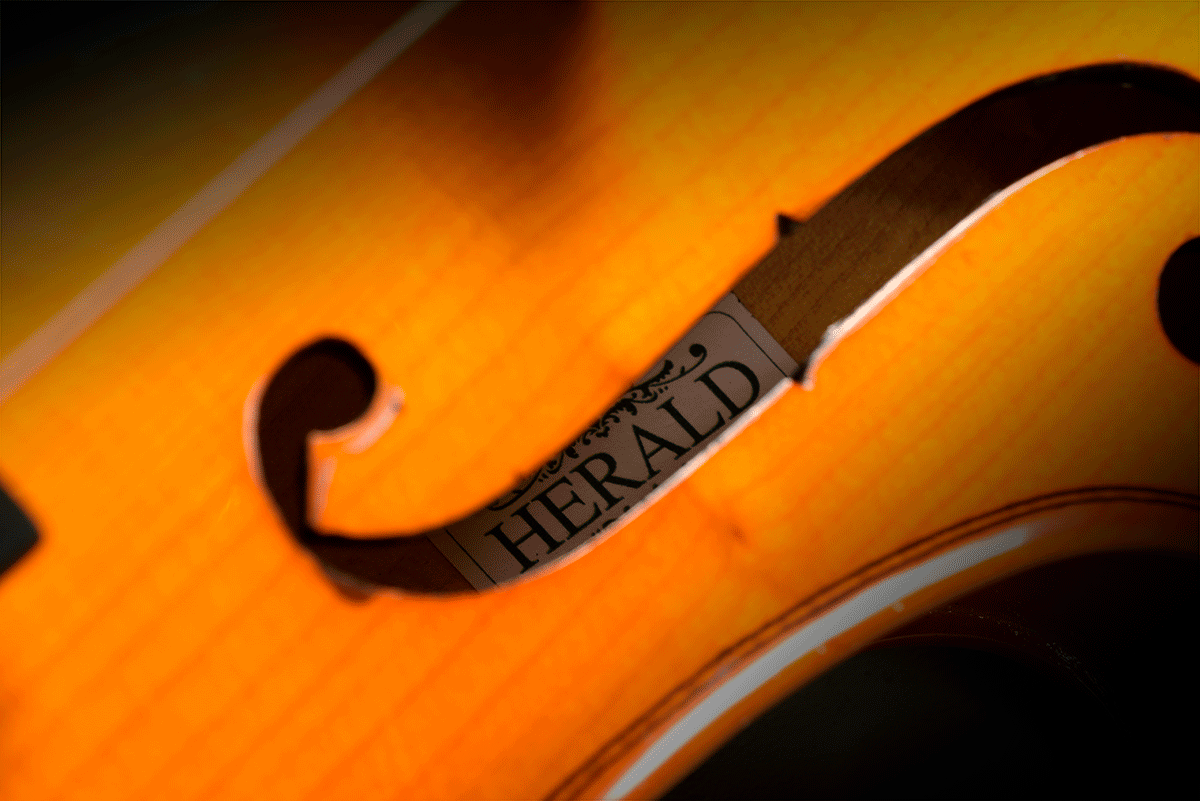 Violon 1/16 tout massif HERALD AS1116