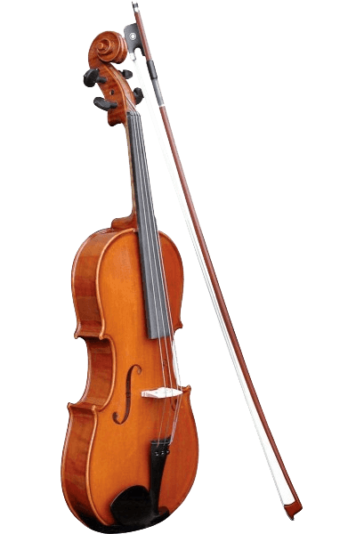 VIOLON ALTO 4/4 TOUT MASSIF HERALD AS244