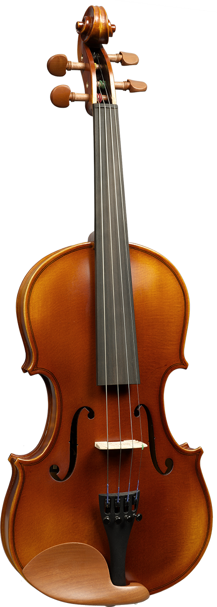 VIOLON 4/4 VENDOME SERIE GRAMONT