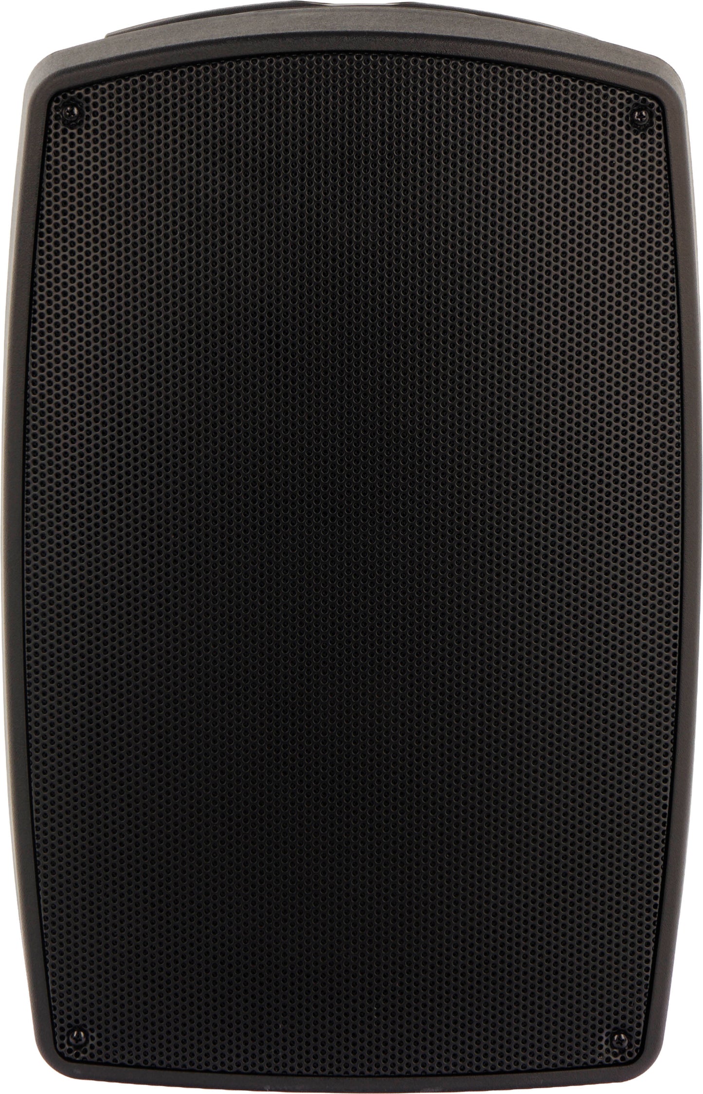 ALGAM AUDIO TR12-BT – Enceinte Bluetooth portable 120 W avec 2 micros sans fil UHF