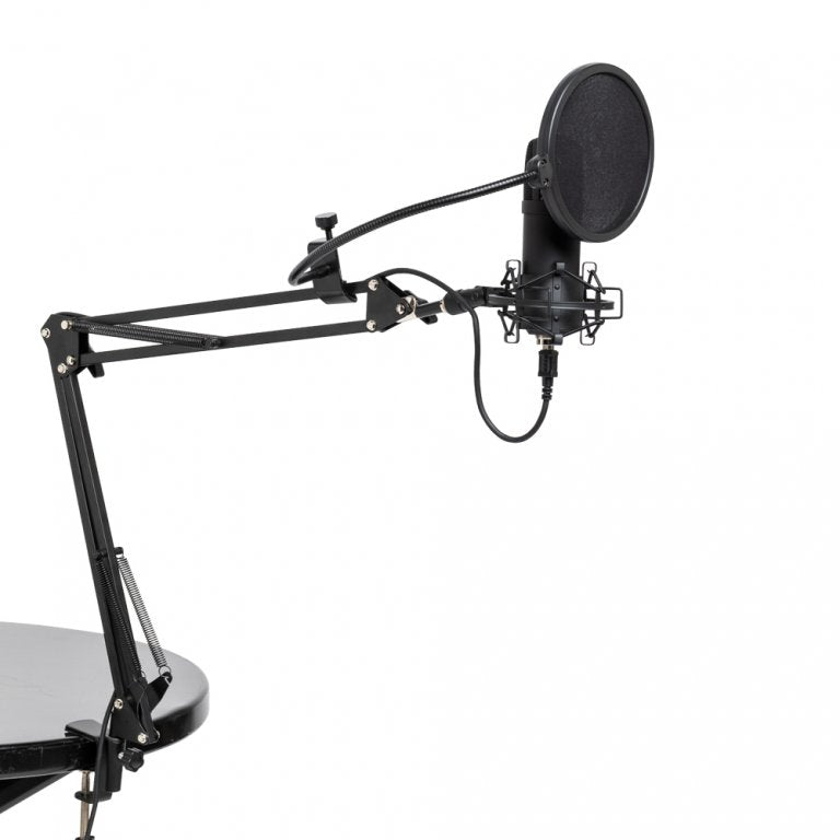 Set micro statique a condensateur usb stagg sum45