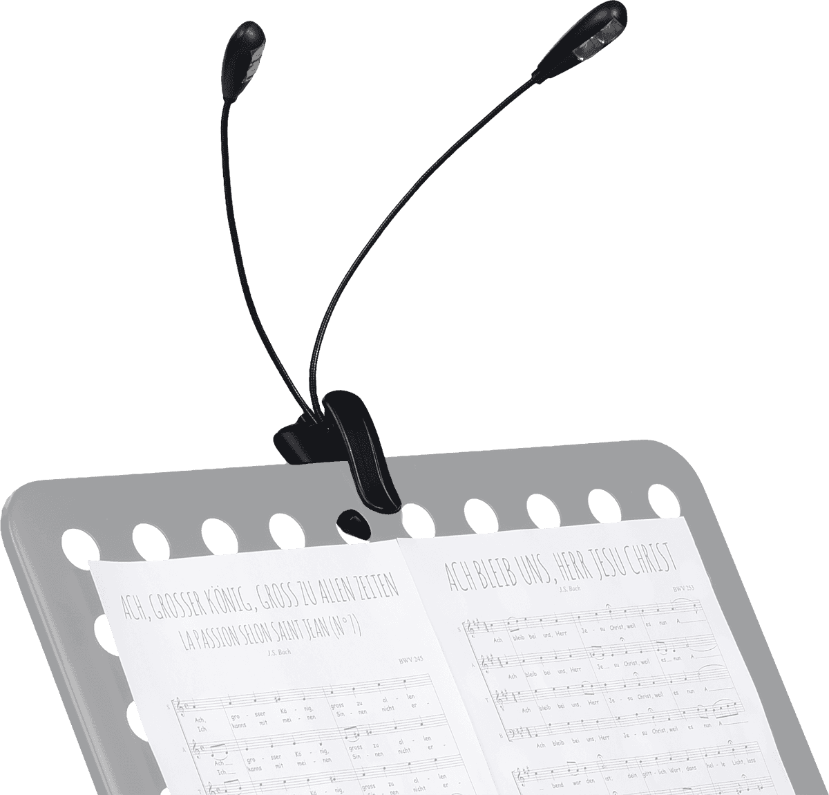 RTX LP2L – Lot de 2 lampes à LED sur flexibles à clipser
