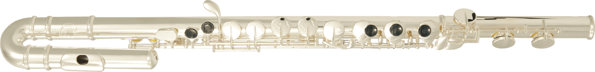 FLUTE TRAVERSIERE ALTO SOL TETE DROITE ET TETE COURBE SML AFL200 - STOCK B
