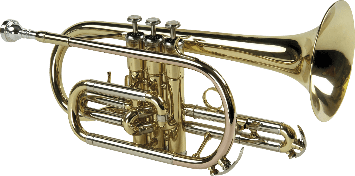 CORNET SIb ANNEAUX LAITON VERNI SML CO50 - STOCK B