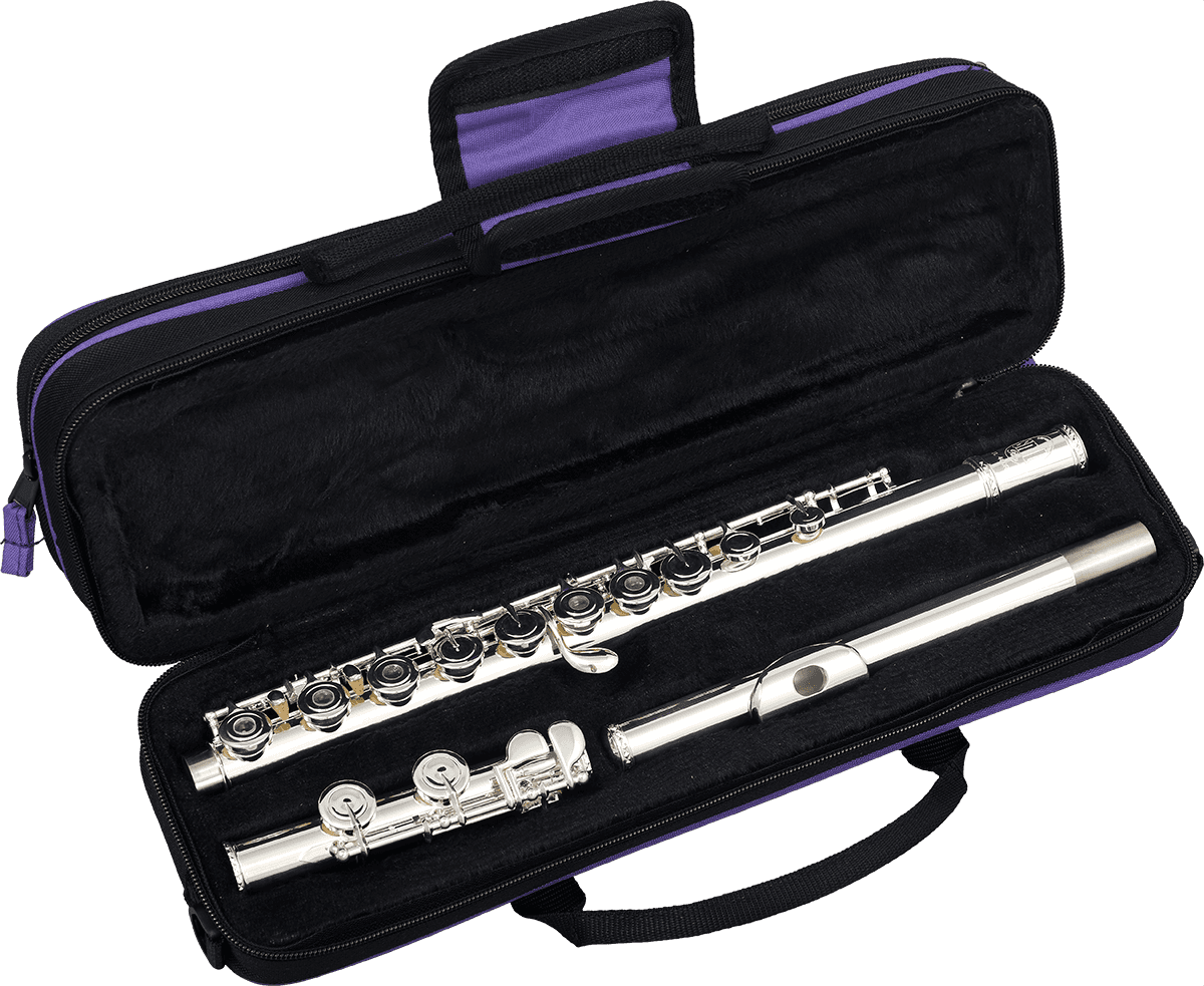FLUTE TRAVERSIERE SOPRANO UT PLATEAUX CREUX EN LIGNE SML FL400R