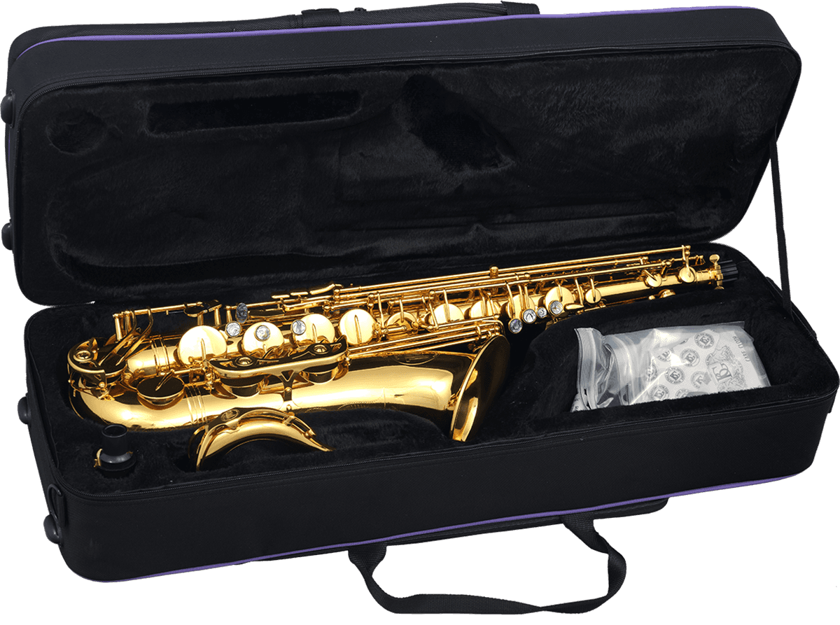 SAXOPHONE TENOR SIb LAITON VERNI SML T420-II