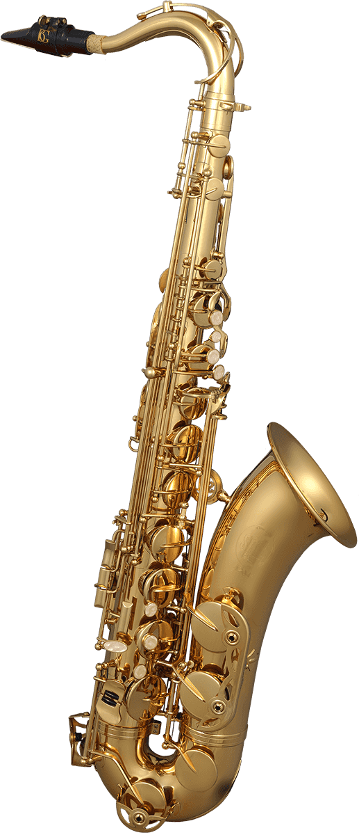 SAXOPHONE TENOR SIb LAITON VERNI SML T420-II